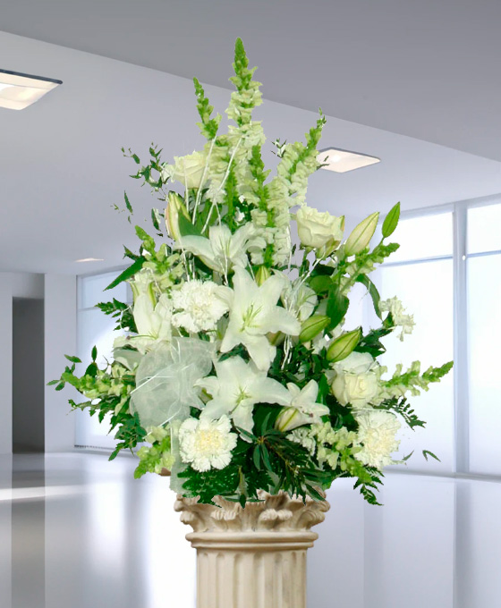 Centro Funeral Basico Blanco