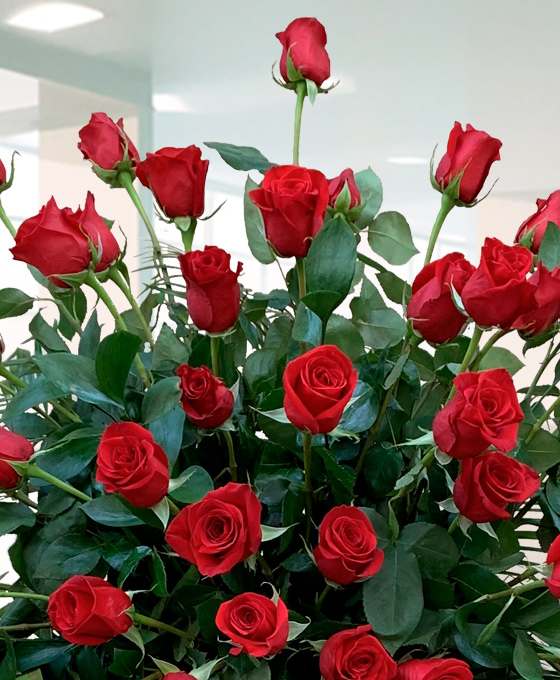 Corona Supreme Rosas Rojas a detalle